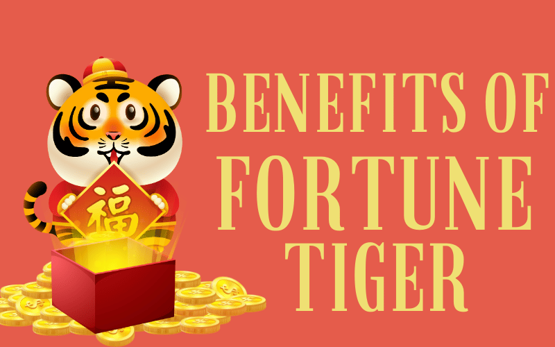 fortune tiger